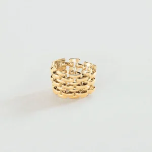 ANILLO LIAMMNITTO
